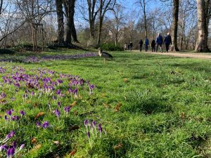 23c126d2-8bba-4809-9b1c-27547c2864a2