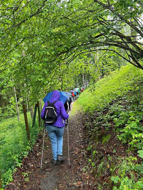 k-118483c2-56a2-44b1-a387-6599acaa25d8