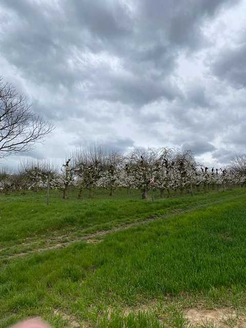 k-WhatsApp Image 2023-04-15 at 15.38.18