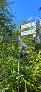 Diemelsee 15